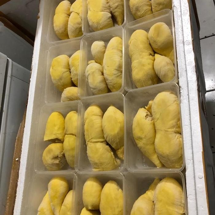 

Glx DUREN MONTHONG 500GR
