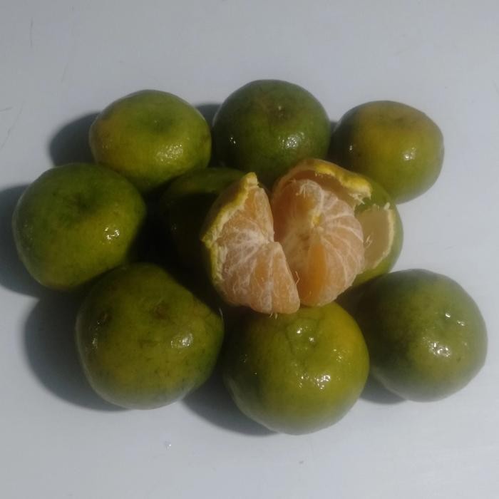 

Glx jeruk kintamani bali size 10 sd 11