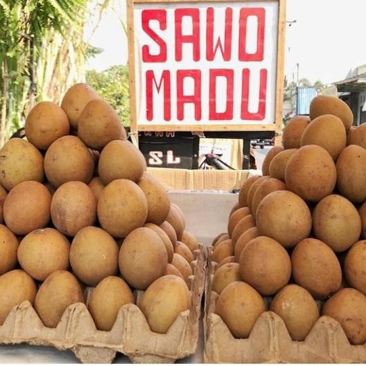 

Glx buah sawo madu super 1 kg isi 5 - 8 buah