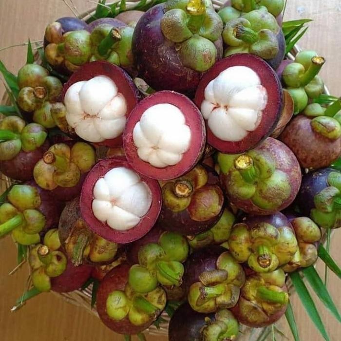

Glx buah manggis 1 kg fresh