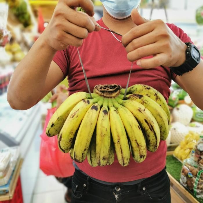 

Glx buah pisang medan barangan tua pohon organik