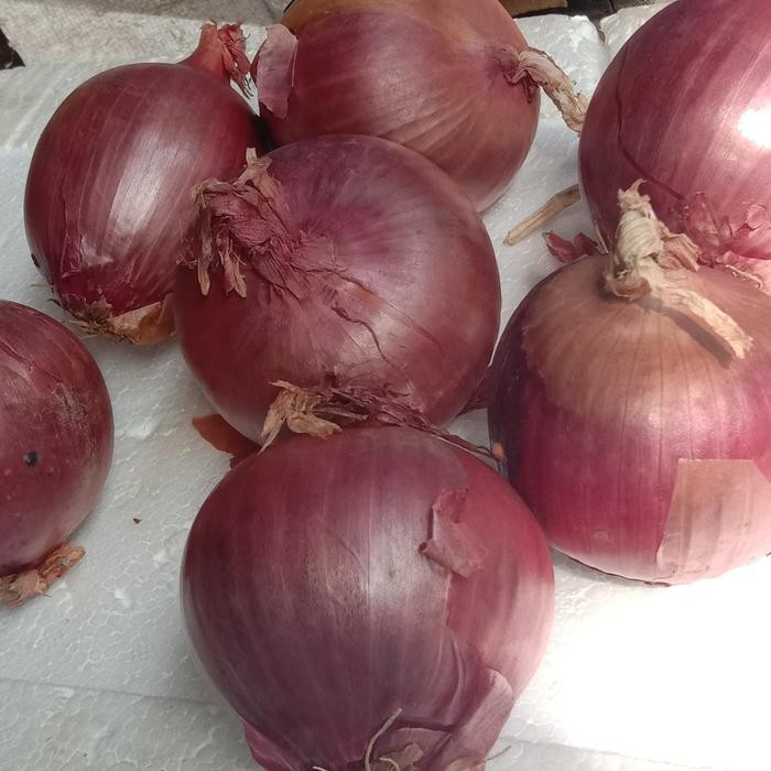 

Glx bawang bombay Bombay merah NZ/unggu