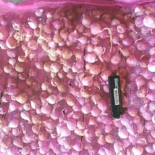 

Glx Bawang Putih Tunggal Kecil 20kg / Bawang Tunggal Kecil Grosir Fresh / Bawang Lanang Karungan
