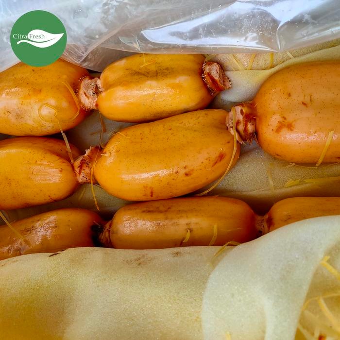 

Gdh CITRA FRESH Akar Teratai Lotus 1 Kg - Selalu Ready dan Fresh