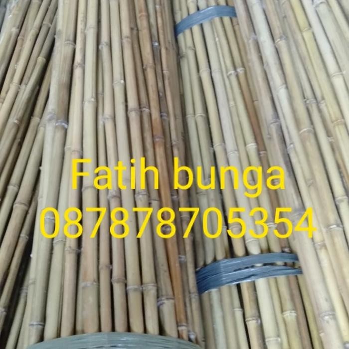 batang bambu warna kuning artificial