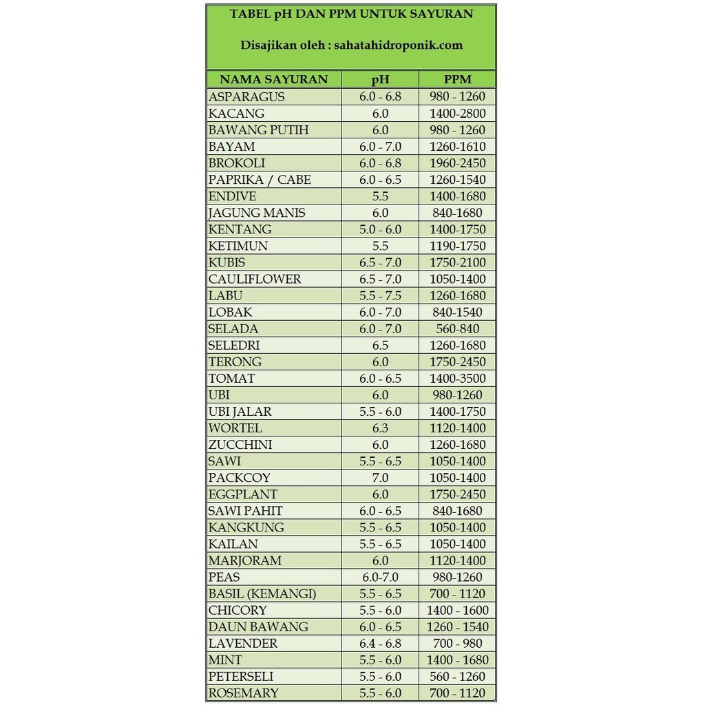 SELADA AIR REPACK - ISI +/-15 BENIH BIBIT BIJI SAYUR HIDROPONIK [PRODUK TERBAIK] [TERPERCAYA]