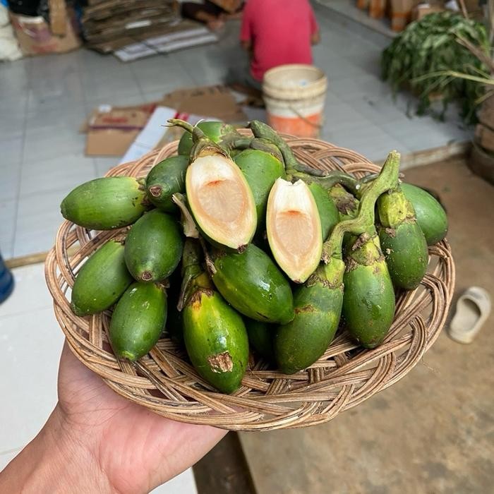

[Fresh] Kukuring Paket Pinang Muda 20 Buah Jambenom Jambe Anum Segar Berkhasiat