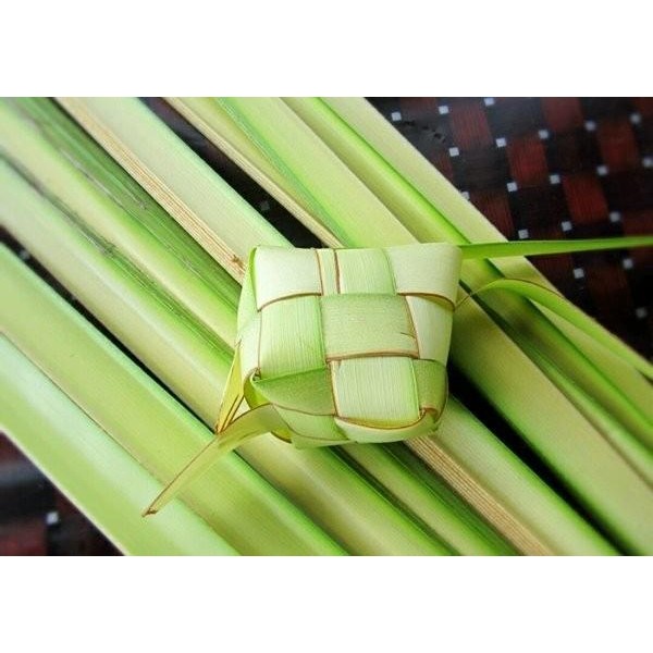 

[Fresh] Promo KETUPAT LEBARAN BESAR!!! Murah
