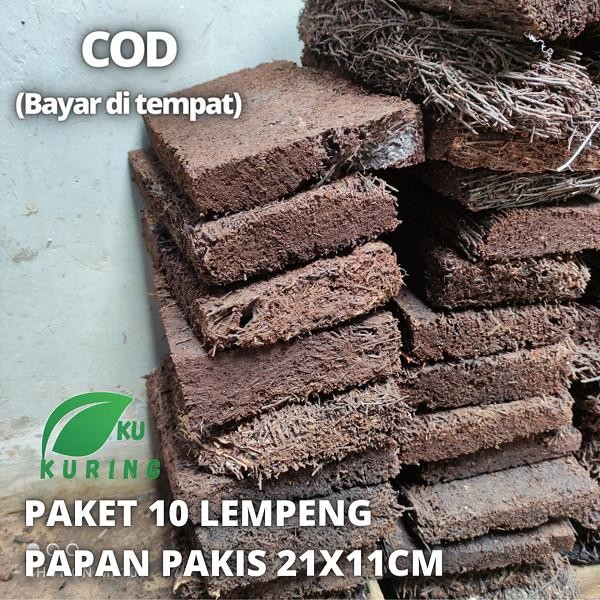 

[Fresh] Paket 10 papan pakis lempeng media tanam anggrek tanaman hias