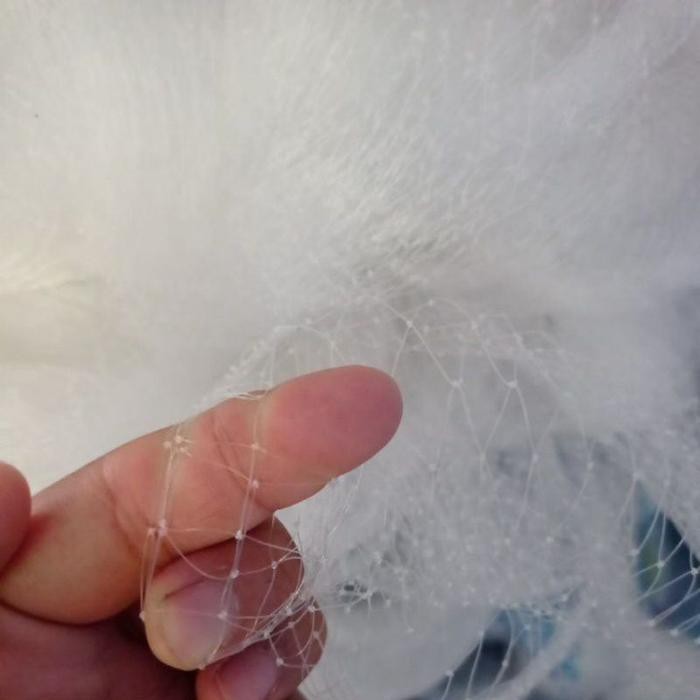 Jaring pengaman tanaman buah kelengkeng dari hama kelelawar jaring