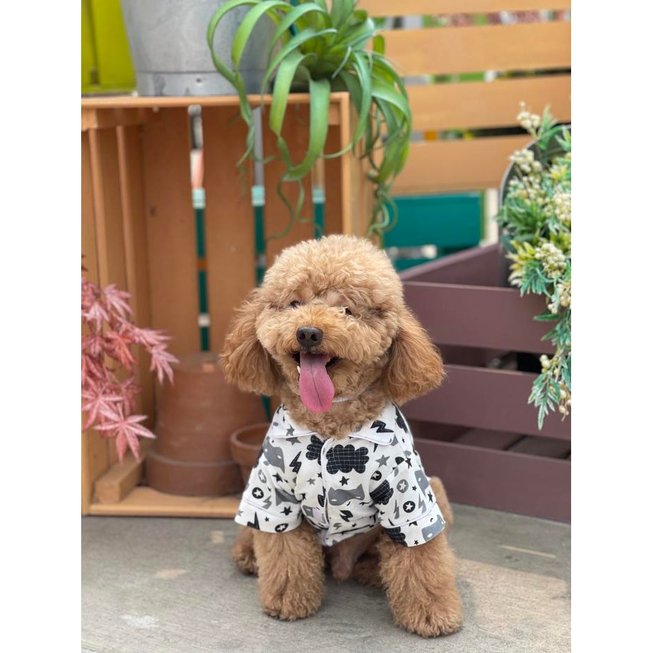 BAJU ANJING POODLE PAWPAWSOME PROJECTS BLACK AD WHITE PRINTING