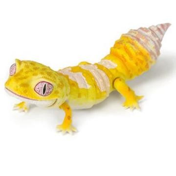 Ikimono Repti Leopard Gecko Gashapon Gacha Bandai dango mushi - Tremper Albino