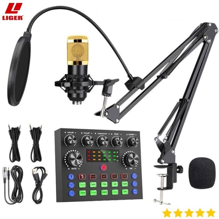 Promo Paket Lengkap Bm800 Plus Sound Card V8S Miko Liger Bisa Untuk Karoke/Live Streaming Alat