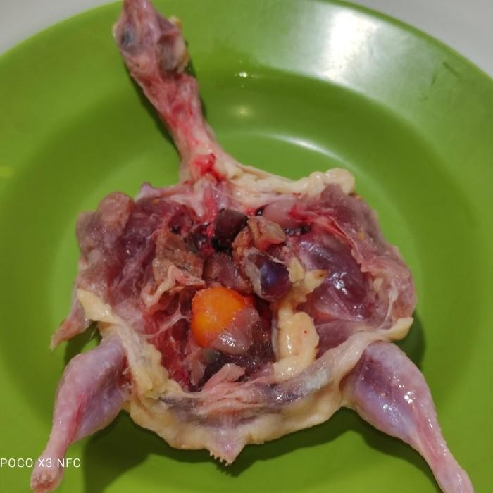 

New Puyuh Utuh dengan Jeroan 1kg