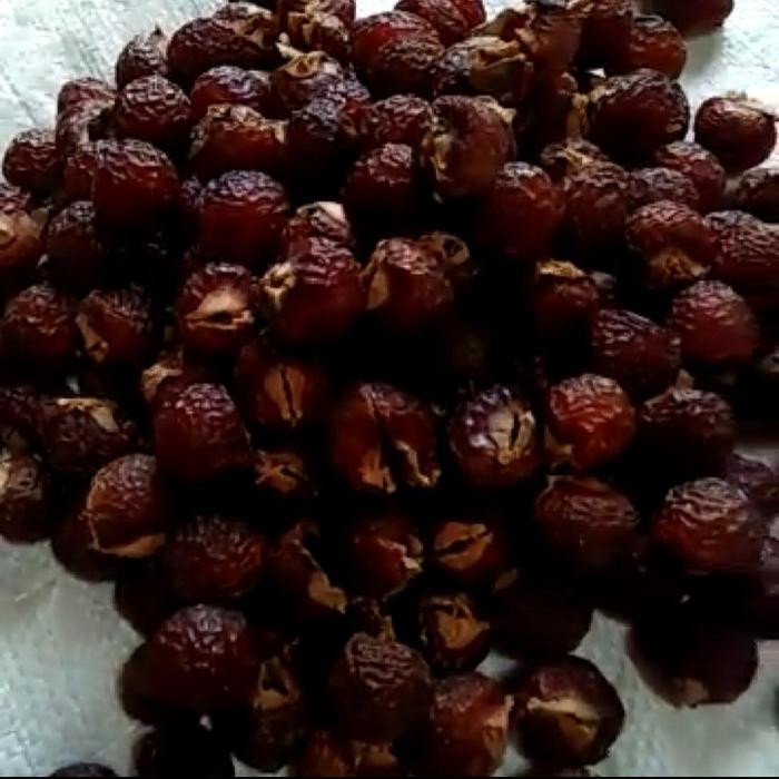 

New Biji Lerak Kupas Tanpa Biji 1 kg Buah Unggul Organik Tanpa Kimia Pure
