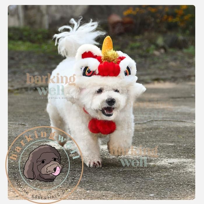 Baju Imlek Anjing Kucing - Topi Barongsai Kostum Imlek Anjing Cny