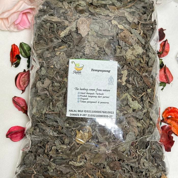 

Simplisia Tempuyung Kering Berat Produk 500 Gram