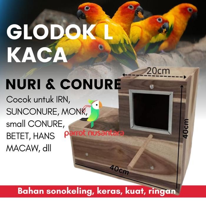 glodok sarang ternak burung besar nuri/sc