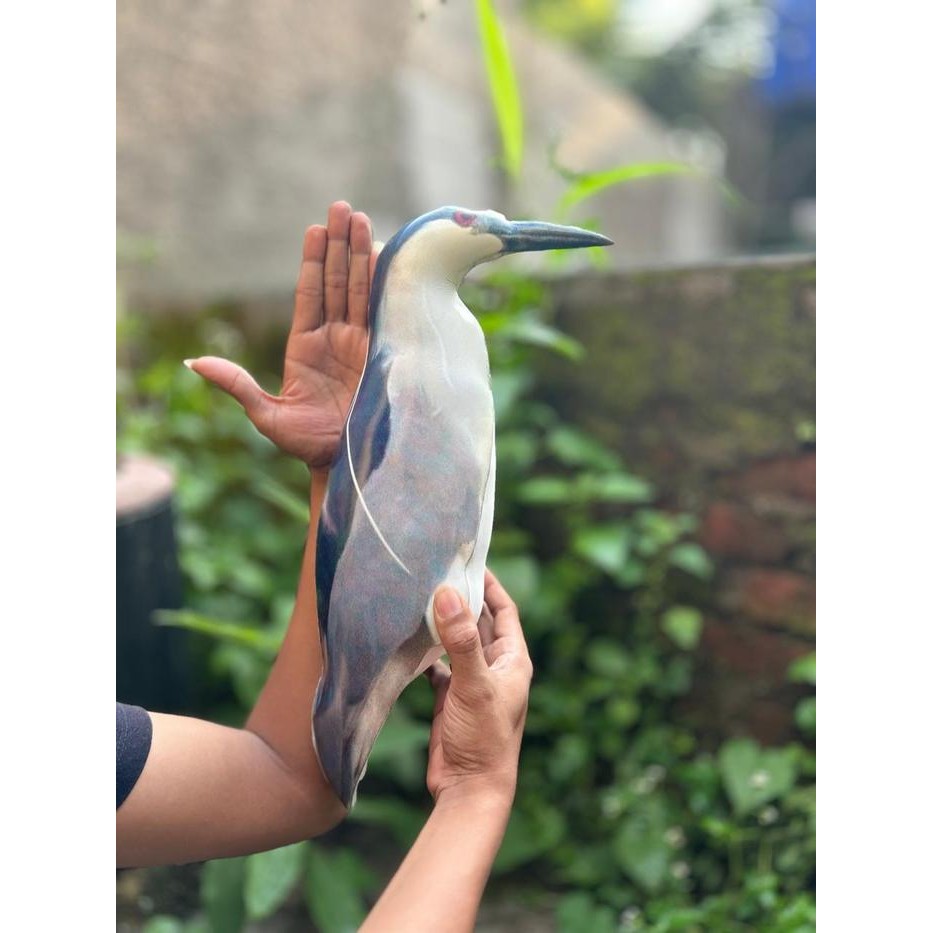 Jontrot Patung burung koak abu besar