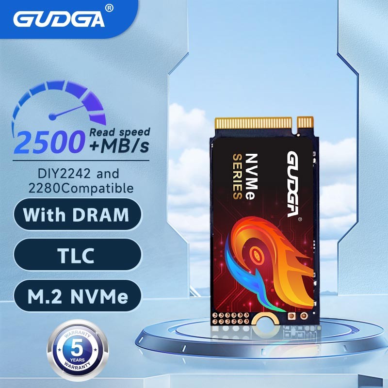 GUDGA M2 NVME SSD With DRAM PCIe3.0 Heatsink 28GB 256GB 512GB M.2 2280 2242 Internal Solid State Dri