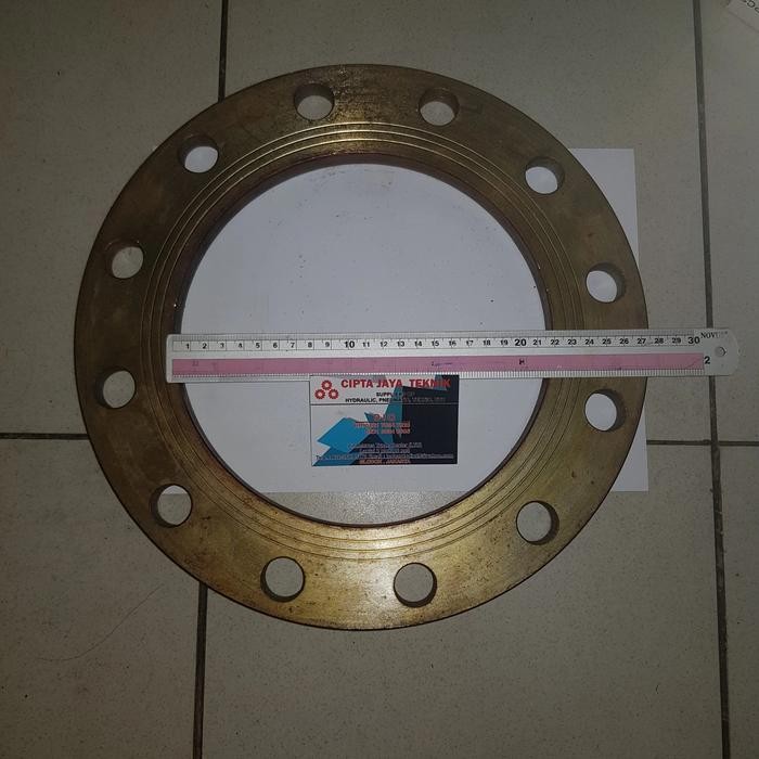 flange jis 10k 8 inch ( besi las ) Ns 8" jis 10 k