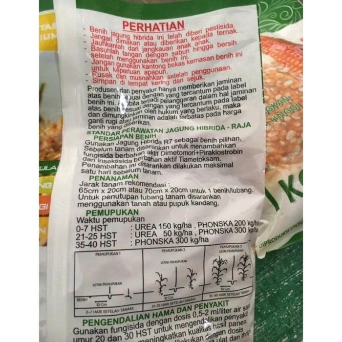 R7 Benih Jagung Hibrida 1Kg Raja