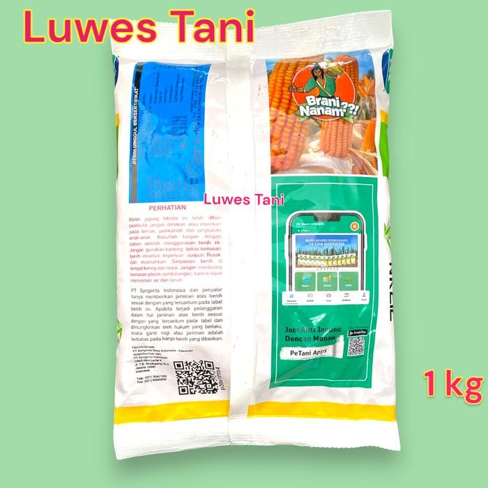 Bibit Jagung Nk 212 1Kg Wsableng Benih Jagung Hibrida