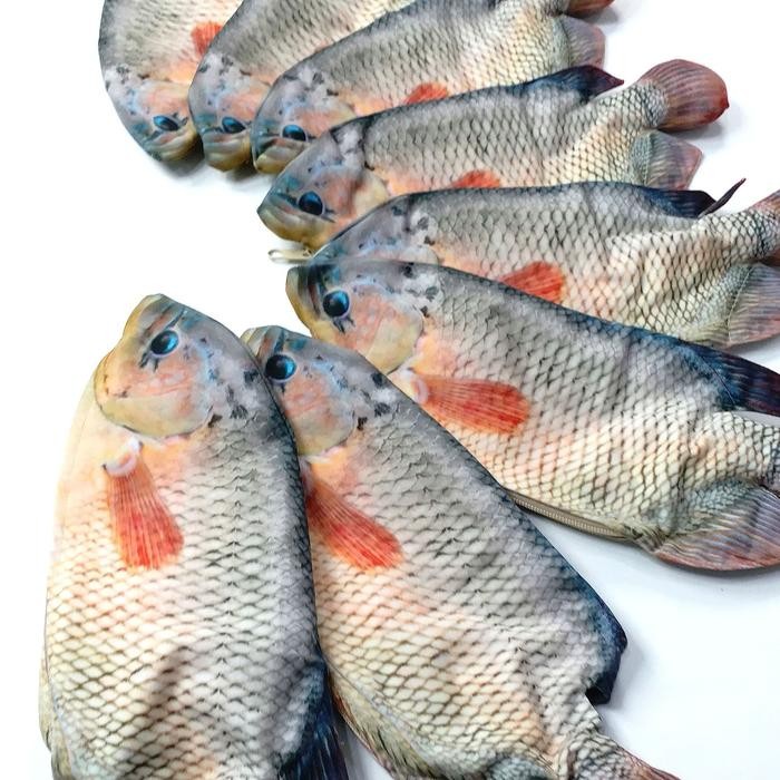 

Tempat Pensil Ikan Gurame Untuk Penggemar Seafood Gurami Mancing Konten Kreator Kreasi Lokal