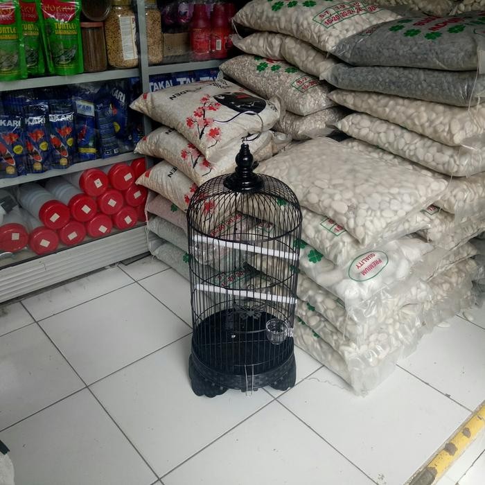 Sangkar pleci/ sangkar burung