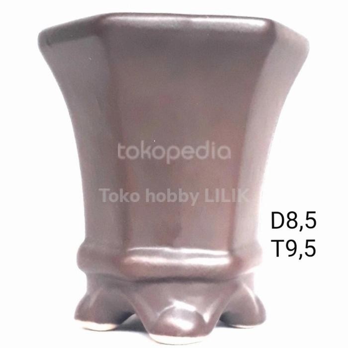 pot keramik bonsai mame cascade /sukulen/kaktus