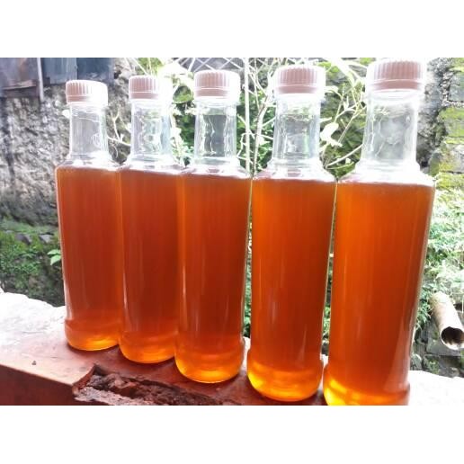 

Madu Asli Multiflora Murni Curah