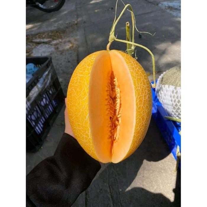 Benih Melon Sweet Lavender Isi 10Gr Original