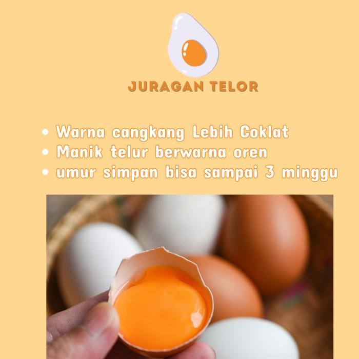 

(Expert) Telur Ayam Super Premium Baik Untuk Kesehatan Tubuh