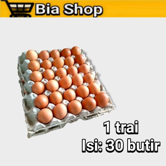 

(Expert) Telor Ayam 1 Tray isi 30 Butir