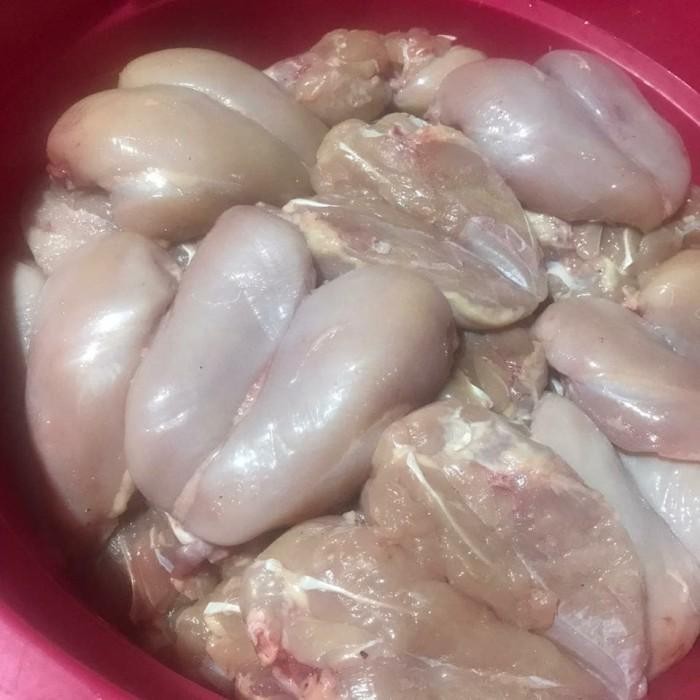 

(Expert) filet dada ayam segar