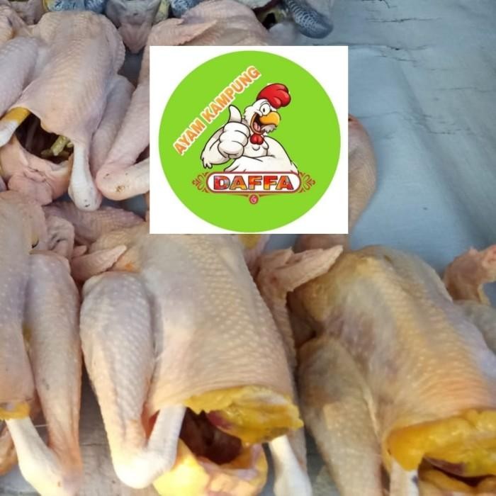 

(Expert) AYAM KAMPUNG LARGE 950-1100gr
