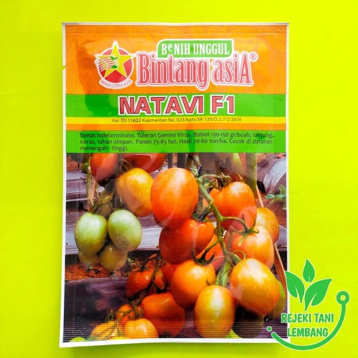 Benih Tomat//Benih Tomat Natavi F1 10Gr