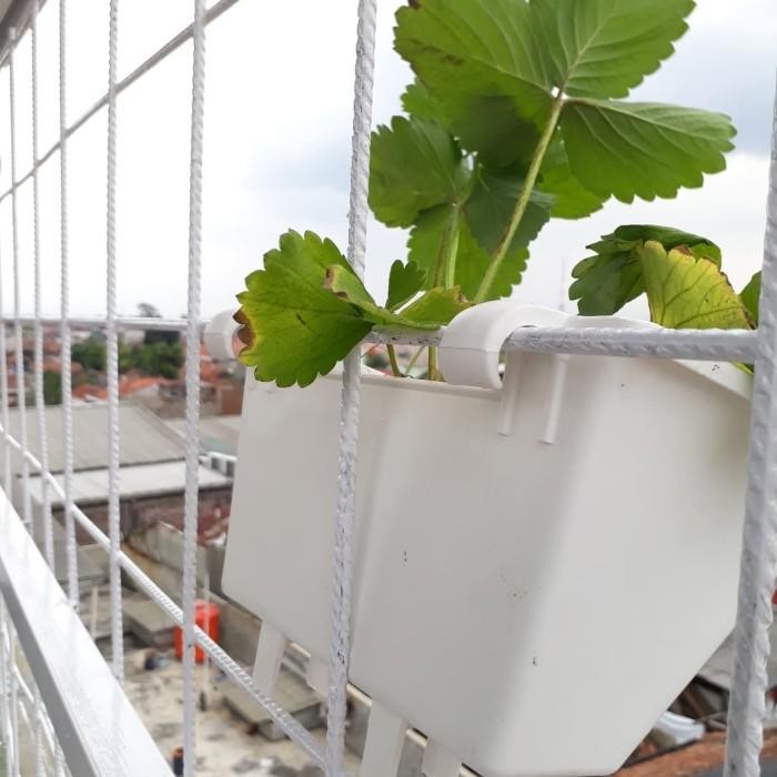 Pot Argo 02, Panjang 25 Cm, Pot Dinding, Pot Tempel ,Tanaman Merambat