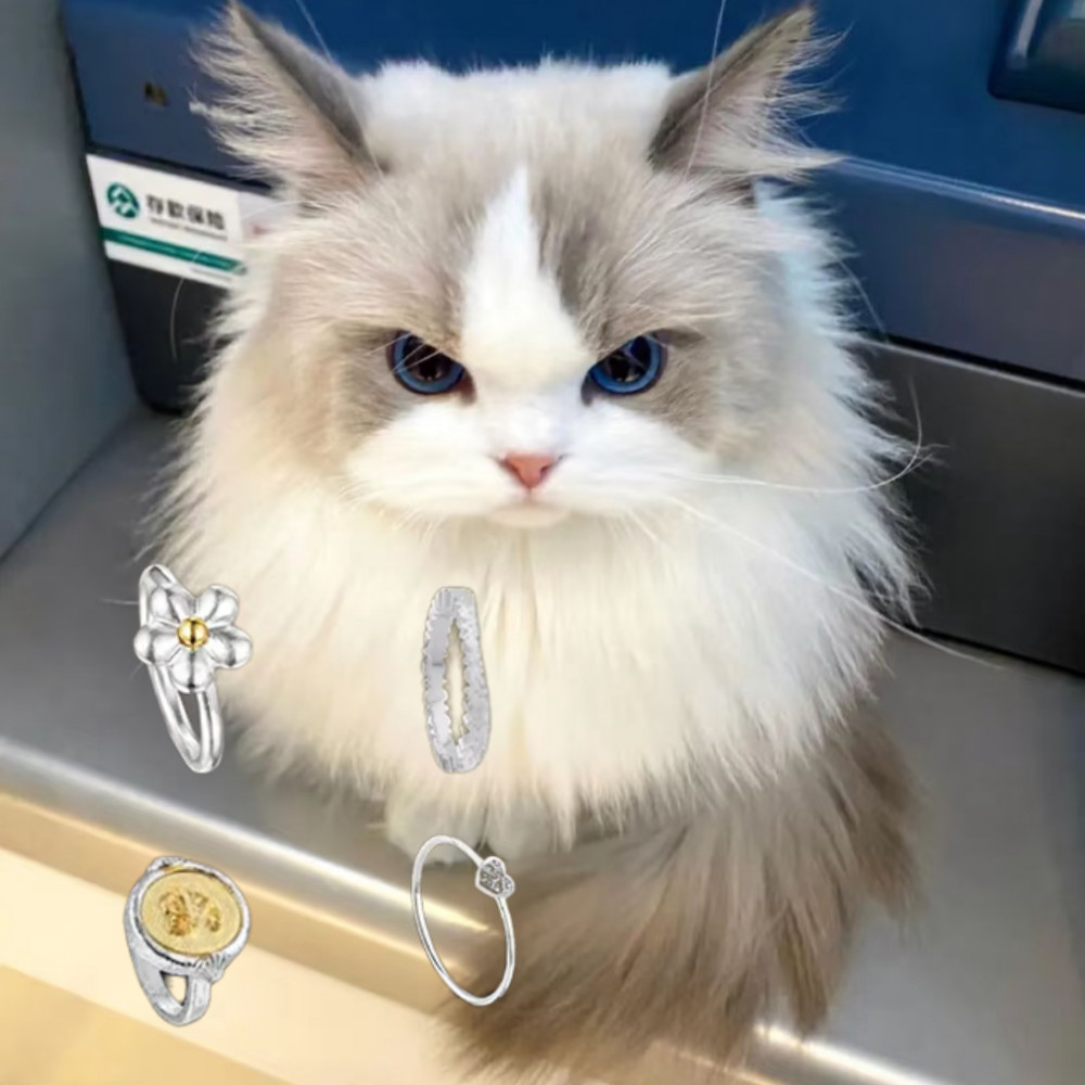 Cat Accessories 2025 Spain Original Ring High Quality Fashion Simple Gift Suitable for Giving To