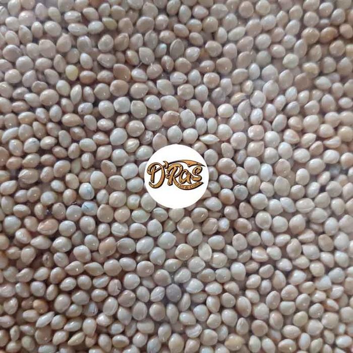 milet putih 1 karung 25kg pakan burung lovebird parkit perkutut dll