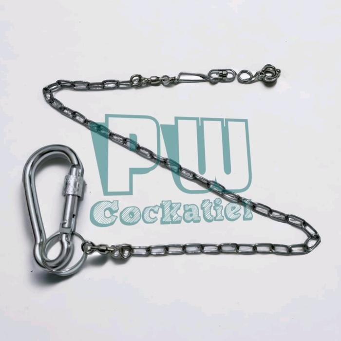 Rantai Dan Ring Borgol Burung Irn Indian Ringneck Lutino Ring Necked