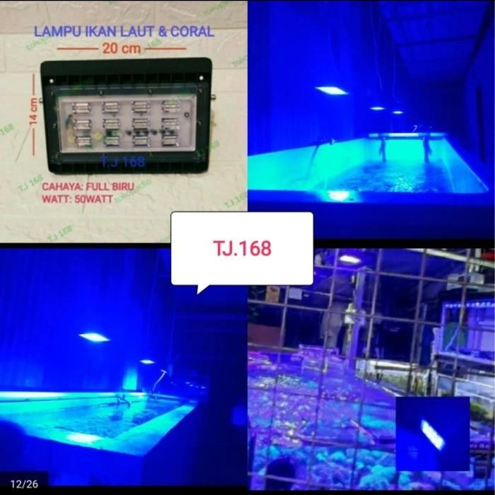 Kap Sorot Lampu Tembak Audalux Led Flood Light (Biru) 50Watt Smd
