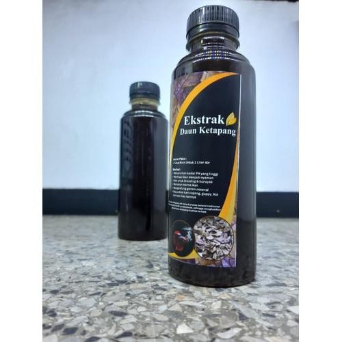 Ekstrak daun ketapang, extrak daun ketapang, ekstrak ketapang,