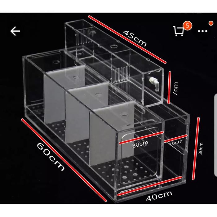 Aquarium Acrylic breeding, Aquarium Breeding, Aquarium ikan guppy