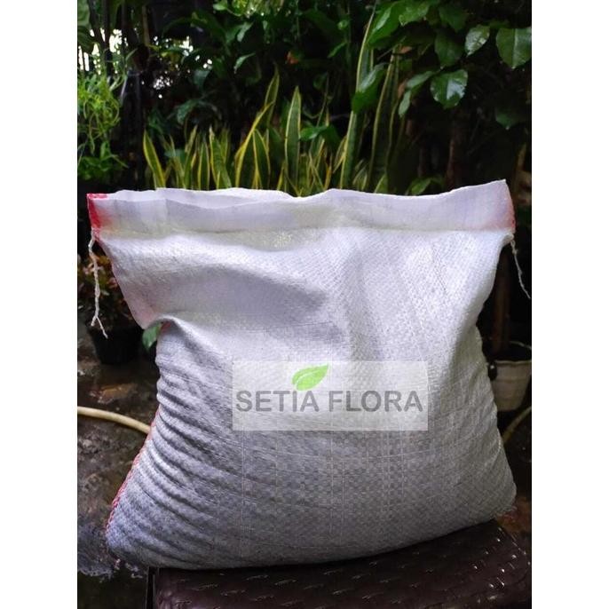 MEDIA TANAM PASIR MALANG KASAR KARUNGAN