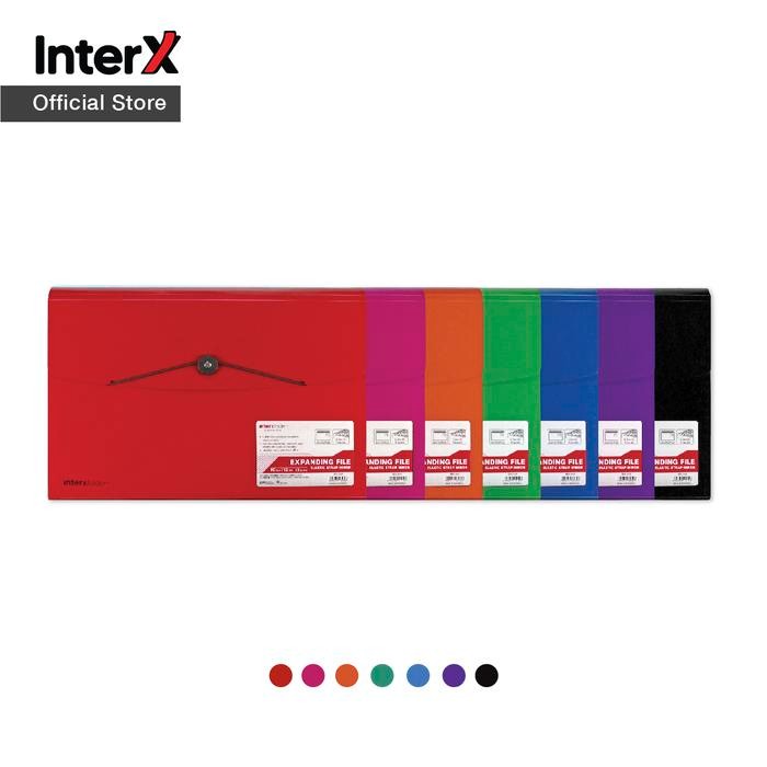 

InterX Expanding File Elastic 12 Tabs Mirror Series