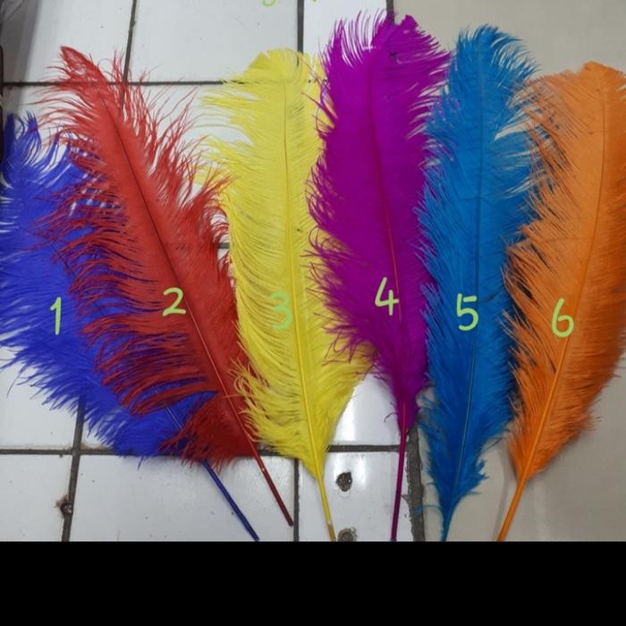 

Bulu Kasuari UK 55-60cm-Bulu Ostrit Panjang