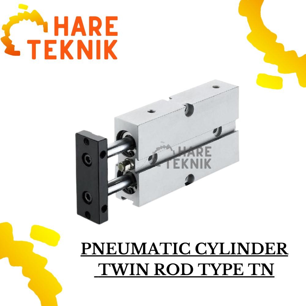 TN 25 X 20 Pneumatic Cylinder Twin Road / Cylinder Pneumatic Type TN 25X20