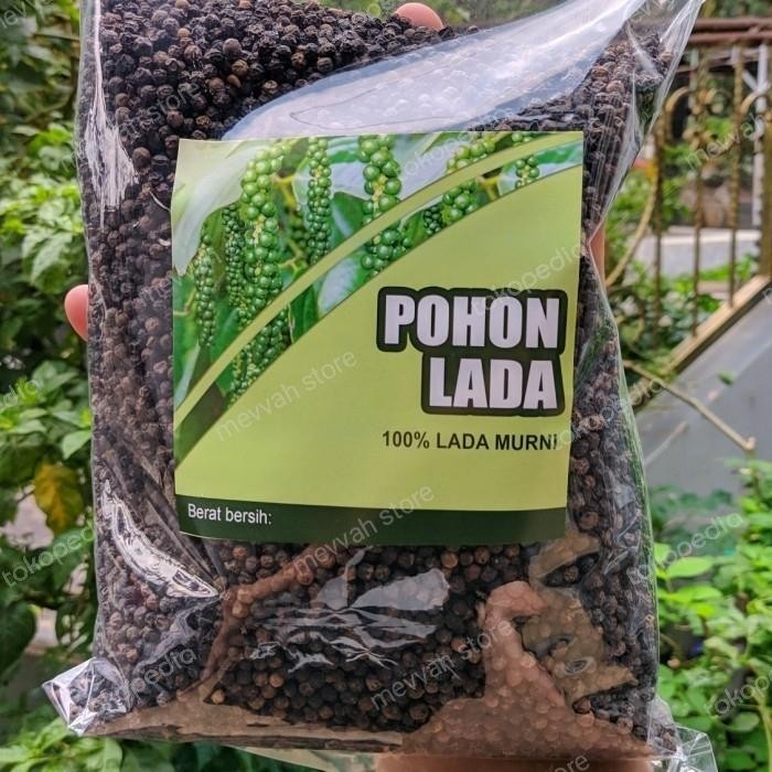 

Pohon Lada Lada Hitam Halus Premium 1 Kg -Gratisongkir