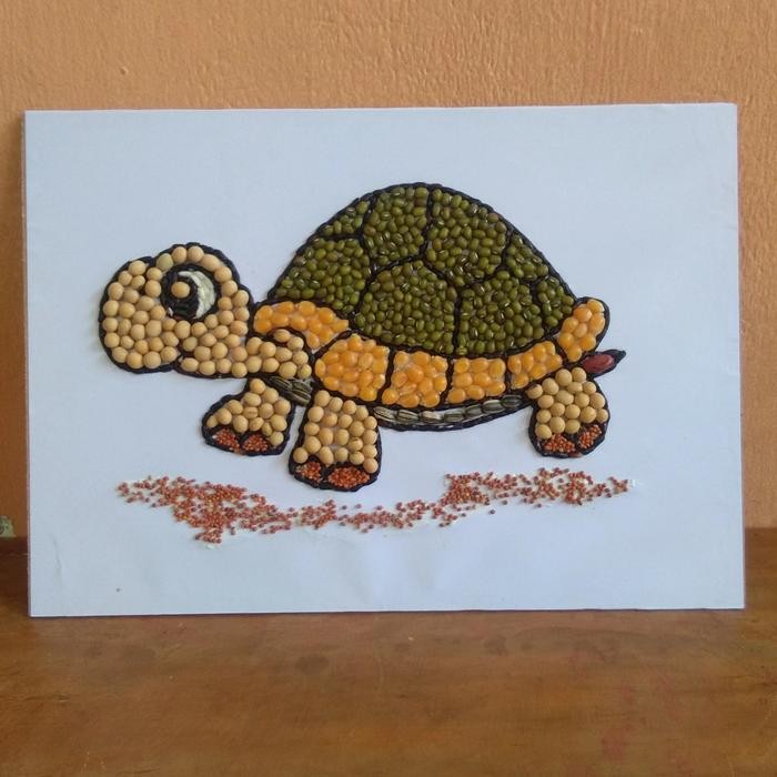 (Allthebest) kolase biji bijian kura kura prakarya sekolah